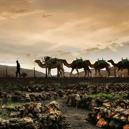 Home2book Cozy Terrace House With Volcano Views Semesterbostad *