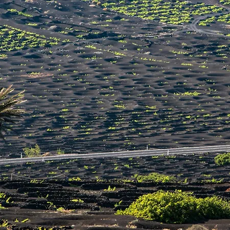 Semesterbostad Home2book Cozy Terrace House With Volcano Views Nazaret
