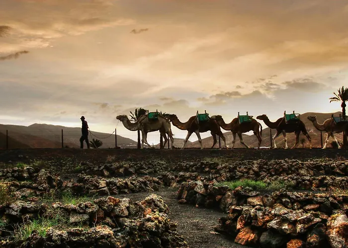 Home2book Cozy Terrace House With Volcano Views Сasa de vacaciones *