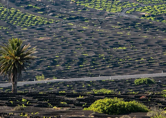 Сasa de vacaciones Home2book Cozy Terrace House With Volcano Views Nazaret